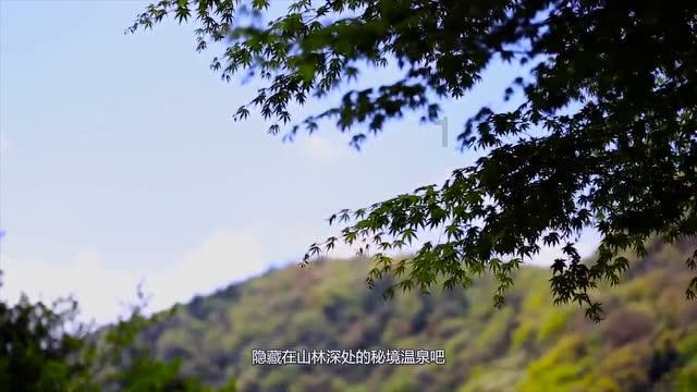 2023年即将上映的电视剧中，你最期待的是哪一部作品？游戏画面
