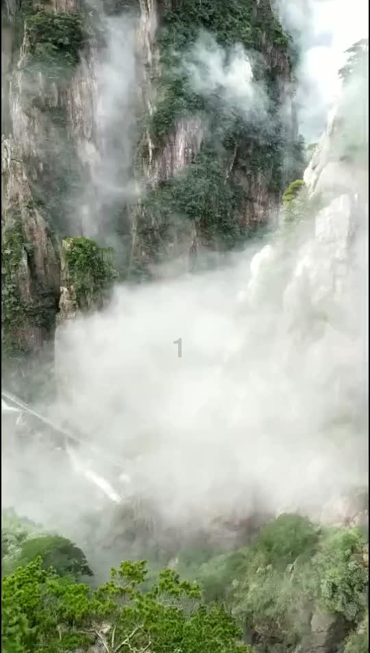 异世契